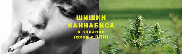 PSILOCYBIN Абаза