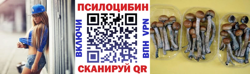 Галлюциногенные грибы MAGIC MUSHROOMS  Питкяранта 